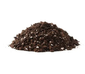 Terreau pour Mandevilla